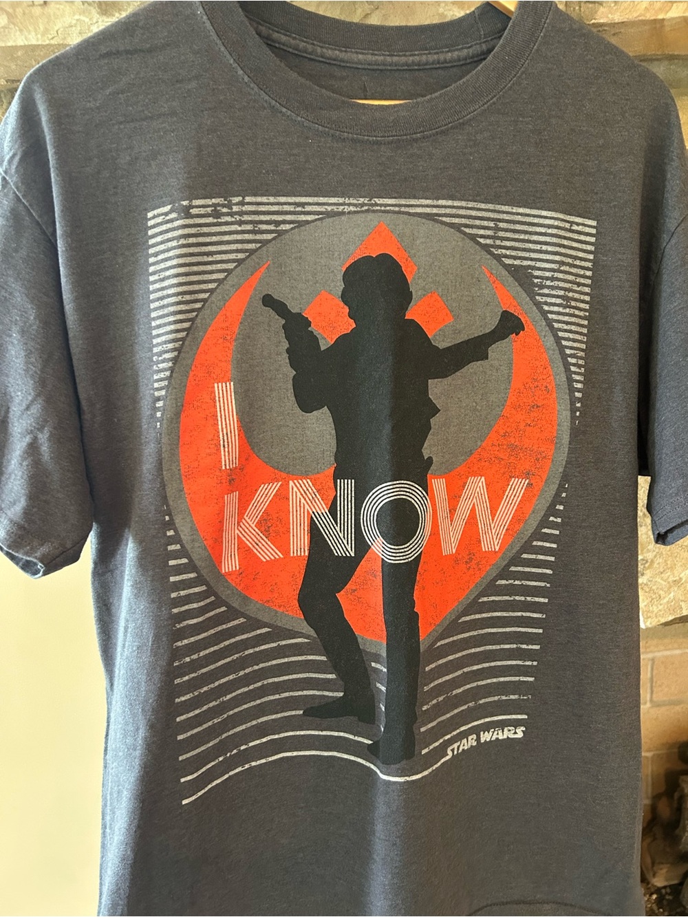 Hanes Disney Parks Charcoal Gray Star Wars Tee